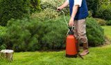 ako odstraniť peň zo záhrady