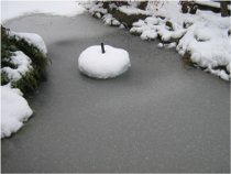 záhradné jazierko počas zimy