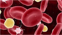 zvýšené bielé krvinky