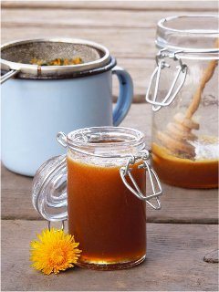 ako pripraviť púpavový med