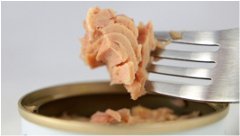 prečo si dopriať filety z bieleho tuniaka