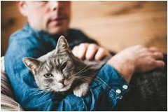 ako sa správne starať o zdravie mačky v byte