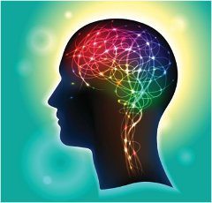 neurobik a tréning mozgu