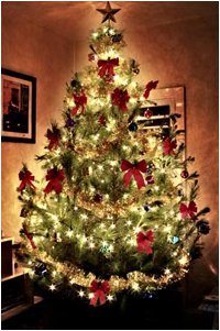 zdobenie svetielkami na vianočnom stromčeku