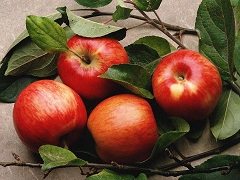 ako spracovať prebytok jabĺk