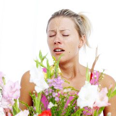 alergia na kvety
