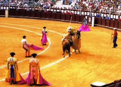 Ako si užiť corrida v Španielsku