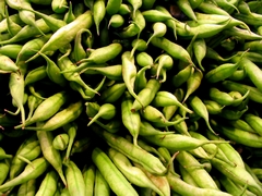 Zelené fazuľky