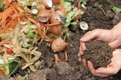 rýchly kompost