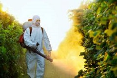 pesticídy